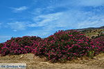 GriechenlandWeb Kalantos Naxos - Kykladen Griechenland- nr 17 - Foto GriechenlandWeb.de