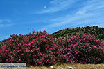 Kalantos Naxos - Cycladen Griekenland- nr 53 - Foto van De Griekse Gids