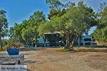 Foto Naxos Kykladen GriechenlandWeb - Foto GriechenlandWeb.de