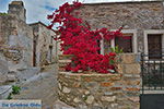 GriechenlandWeb.de Kato Sangri Naxos - Kykladen Griechenland- nr 11 - Foto GriechenlandWeb.de