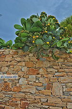 Kato Sangri Naxos - Cycladen Griekenland- nr 23 - Foto van De Griekse Gids