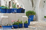 GriechenlandWeb.de Naxos Stadt Naxos - Foto GriechenlandWeb.de