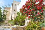 Naxos stad - Cycladen Griekenland - nr 82 - Foto van De Griekse Gids