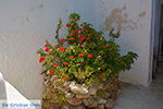 GriechenlandWeb.de Naxos Stadt - Kykladen Griechenland - nr 121 - Foto GriechenlandWeb.de