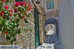 GriechenlandWeb.de Naxos Stadt Naxos - Foto GriechenlandWeb.de