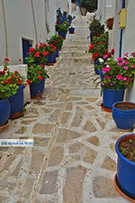 GriechenlandWeb.de Naxos Stadt - Kykladen Griechenland - nr 202 - Foto GriechenlandWeb.de