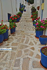 GriechenlandWeb Naxos Stadt - Kykladen Griechenland - nr 202 - Foto GriechenlandWeb.de