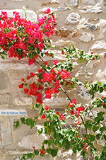 GriechenlandWeb Naxos Stadt - Kykladen Griechenland - nr 215 - Foto GriechenlandWeb.de