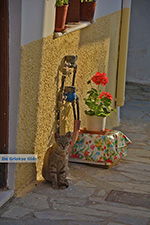 Foto Naxos Kykladen GriechenlandWeb - Foto GriechenlandWeb.de