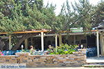 GriechenlandWeb Plaka Naxos - Kykladen Griechenland - nr 6 - Foto GriechenlandWeb.de