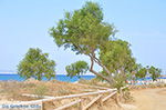 Plaka Naxos - Cycladen Griekenland - nr 34 - Foto van De Griekse Gids