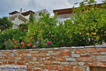 Foto Naxos Kykladen GriechenlandWeb - Foto GriechenlandWeb.de