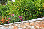 GriechenlandWeb.de Potamia Naxos - Kykladen Griechenland - nr 27 - Foto GriechenlandWeb.de