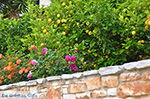 Foto Naxos Kykladen GriechenlandWeb - Foto GriechenlandWeb.de