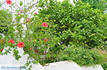 Foto Naxos Kykladen GriechenlandWeb - Foto GriechenlandWeb.de