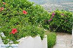 Foto Naxos Kykladen GriechenlandWeb - Foto GriechenlandWeb.de