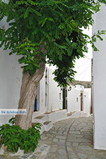 Foto Naxos Kykladen GriechenlandWeb - Foto GriechenlandWeb.de