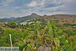 Potamia Naxos - Cycladen Griekenland - nr 56 - Foto van De Griekse Gids