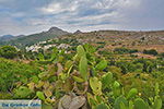 Potamia Naxos - Cycladen Griekenland - nr 57 - Foto van De Griekse Gids