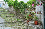 GriechenlandWeb.de Potamia Naxos - Kykladen Griechenland - nr 94 - Foto GriechenlandWeb.de