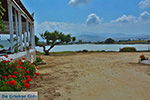 Stelida Naxos - Cycladen Griekenland - nr  7 - Foto van De Griekse Gids