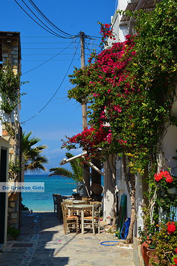 Agia Anna Naxos - Cycladen Griekenland - nr 31 - Foto van https://www.grieksegids.nl/fotos/naxos/normaal/agia-anna-naxos-031.jpg
