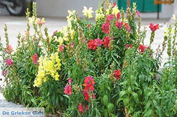 Agios Arsenios Naxos - Cycladen Griekenland - nr 7 - Foto van https://www.grieksegids.nl/fotos/naxos/normaal/agios-arsenios-naxos-007.jpg