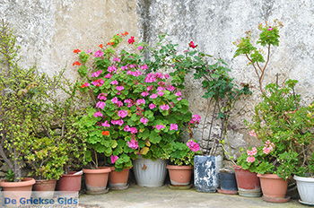 Agios Arsenios Naxos - Cycladen Griekenland - nr 10 - Foto van https://www.grieksegids.nl/fotos/naxos/normaal/agios-arsenios-naxos-010.jpg