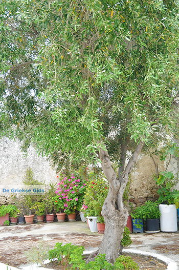 Agios Arsenios Naxos - Cycladen Griekenland - nr 11 - Foto van https://www.grieksegids.nl/fotos/naxos/normaal/agios-arsenios-naxos-011.jpg