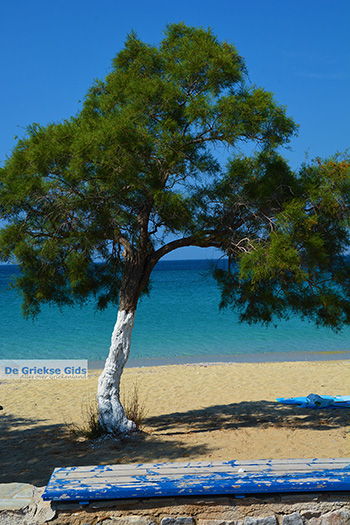 Agios Prokopios Naxos - Cycladen Griekenland - nr 25 - Foto van https://www.grieksegids.nl/fotos/naxos/normaal/agios-prokopios-naxos-025.jpg