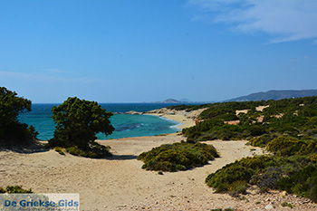 Alyko Naxos - Cycladen Griekenland - nr 47 - Foto van https://www.grieksegids.nl/fotos/naxos/normaal/alyko-naxos-003.jpg