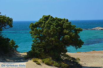 Alyko Naxos - Cycladen Griekenland - nr 53 - Foto van https://www.grieksegids.nl/fotos/naxos/normaal/alyko-naxos-009.jpg