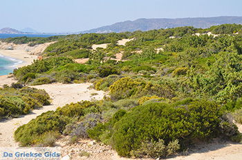 Alyko Naxos - Cycladen Griekenland - nr 62 - Foto van https://www.grieksegids.nl/fotos/naxos/normaal/alyko-naxos-018.jpg