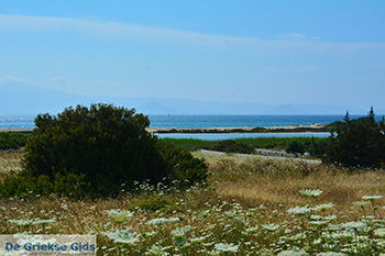 Alyko Naxos - Cycladen Griekenland - nr 72 - Foto van https://www.grieksegids.nl/fotos/naxos/normaal/alyko-naxos-028.jpg