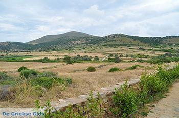 Ano Sangri Naxos - Cycladen Griekenland- nr 22 - Foto van https://www.grieksegids.nl/fotos/naxos/normaal/ano-sangri-naxos-022.jpg