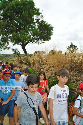 Ano Sangri Naxos - Cycladen Griekenland- nr 28 - Foto van https://www.grieksegids.nl/fotos/naxos/normaal/ano-sangri-naxos-028.jpg