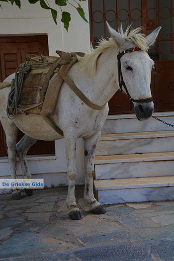 Apiranthos Naxos - Cycladen Griekenland- nr 10 - Foto van https://www.grieksegids.nl/fotos/naxos/normaal/apiranthos-naxos-010.jpg
