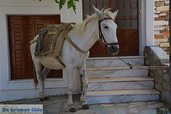 Apiranthos Naxos - Cycladen Griekenland- nr 11 - Foto van https://www.grieksegids.nl/fotos/naxos/normaal/apiranthos-naxos-011.jpg