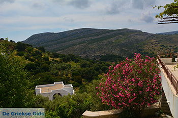 Apiranthos Naxos - Cycladen Griekenland- nr 33 - Foto van https://www.grieksegids.nl/fotos/naxos/normaal/apiranthos-naxos-033.jpg