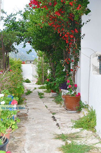 Apollonas Naxos - Cycladen Griekenland- nr 37 - Foto van https://www.grieksegids.nl/fotos/naxos/normaal/apollonas-naxos-037.jpg
