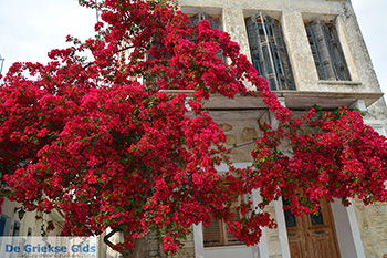 Chalkio Naxos - Cycladen Griekenland- nr 10 - Foto van https://www.grieksegids.nl/fotos/naxos/normaal/chalkio-naxos-010.jpg