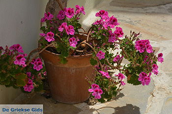 Chalkio Naxos - Cycladen Griekenland- nr 47 - Foto van https://www.grieksegids.nl/fotos/naxos/normaal/chalkio-naxos-047.jpg