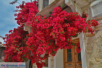 Chalkio Naxos - Cycladen Griekenland- nr 53 - Foto van De Griekse Gids