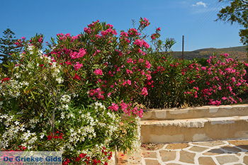 Engares Naxos - Cycladen Griekenland- nr 17 - Foto van https://www.grieksegids.nl/fotos/naxos/normaal/engares-naxos-017.jpg
