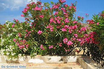 Engares Naxos - Cycladen Griekenland- nr 30 - Foto van https://www.grieksegids.nl/fotos/naxos/normaal/engares-naxos-030.jpg