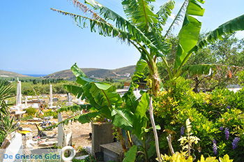 Engares Naxos - Cycladen Griekenland- nr 38 - Foto van https://www.grieksegids.nl/fotos/naxos/normaal/engares-naxos-038.jpg