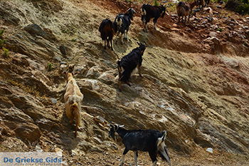 Kalantos Naxos - Cycladen Griekenland- nr 4 - Foto van https://www.grieksegids.nl/fotos/naxos/normaal/kalantos-naxos-004.jpg