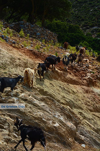 Kalantos Naxos - Cycladen Griekenland- nr 5 - Foto van https://www.grieksegids.nl/fotos/naxos/normaal/kalantos-naxos-005.jpg