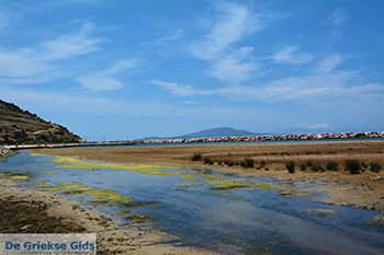 Kalantos Naxos - Cycladen Griekenland- nr 27 - Foto van https://www.grieksegids.nl/fotos/naxos/normaal/kalantos-naxos-027.jpg