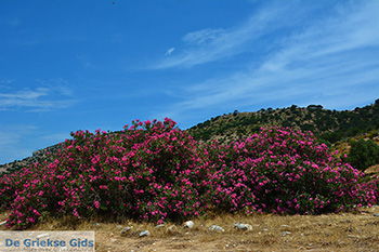 Kalantos Naxos - Cycladen Griekenland- nr 54 - Foto van https://www.grieksegids.nl/fotos/naxos/normaal/kalantos-naxos-054.jpg